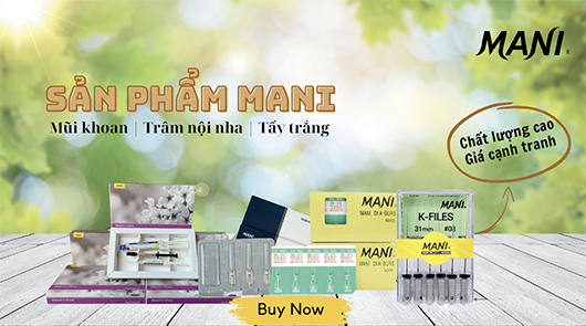 Nội nha 3