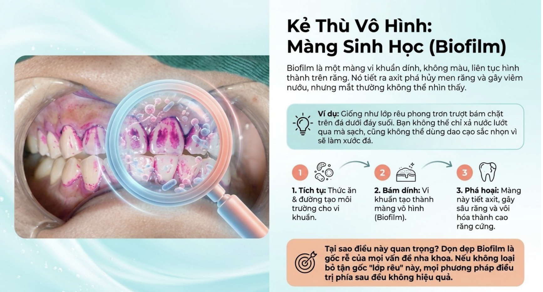 Quy trình ABC và sức mạnh của máy thổi cát Woodpecker PT-A trong chăm sóc răng miệng