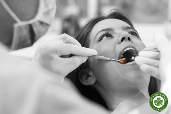 Vai trò của bông cầm máu dentospon trong thực hành nha khoa