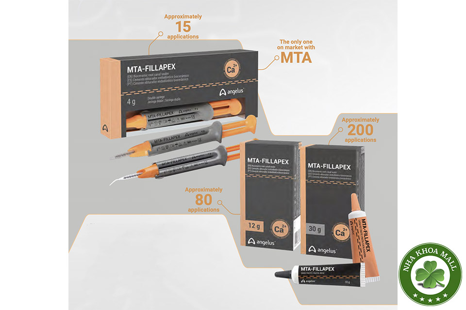 MTA-Fillapex: Vật liệu trám bít ống tủy sinh học tối ưu cho thực hành Nội nha hiện đại