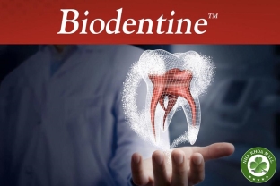Biodentine trong điều trị nội nha: Cập nhật mới nhất