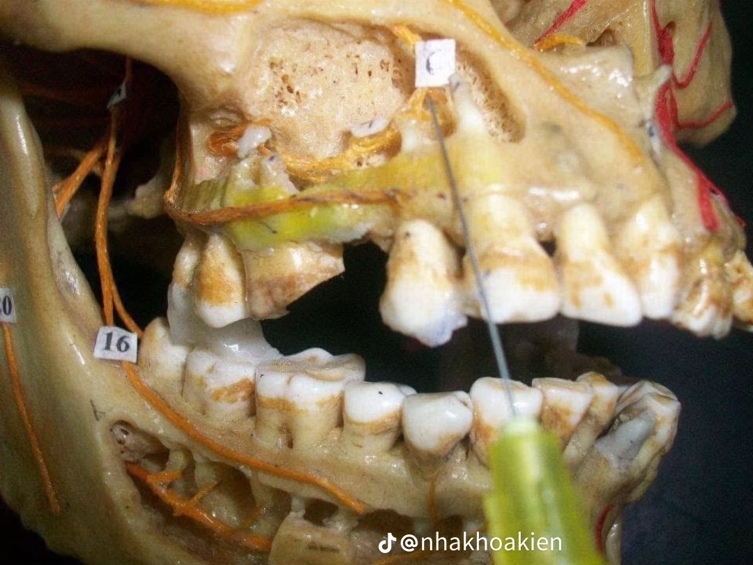 Vị trí 9