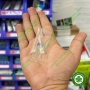 Canxi hydroxit trộn sẵn trong điều trị nội nha Calcipex II Nishika