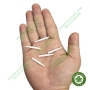 Ti sứ zirconia dùng để cắm khay nướng sứ tổ ong Labo