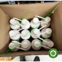 Dung dịch rửa tay ngoại khoa ANIOS DERMANIOS SCRUB CHLORHEXIDINE 4%