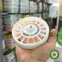 Côn gutta nội nha cho trâm máy Sure Endo hộp đủ số tròn lớn 240 cây