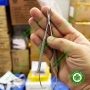 Kéo cắt mô đầu cong cán vàng 15cm - kéo Vanas lá lúa