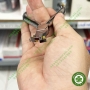 Kềm tháo dây cung chỉnh nha cho mắc cài tự buộc 3M 804-160