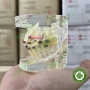 Mẫu hàm tư vấn chỉnh nha mắc cài kim loại và các loại khí cụ nhựa trong