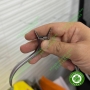 Kềm chỉnh nha Nance Loop – Kềm bậc thang bẻ móc đóng khoảng