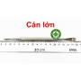Cây cán lớn