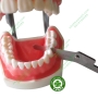 Bộ thước đo kẻ răng hỗ trợ mài kẻ chỉnh nha - Bộ 7 lá