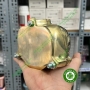 Múp đồng ép nhựa răng tháo lắp - Múp ép nhựa cứng lớn, có lỗ