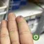 Nút chỉnh nha - Button chỉnh nha đế dán