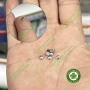 Nút chỉnh nha - Button chỉnh nha đế dán