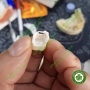 Chất kiểm tra độ khít sát phục hình sứ - Checker Sứ Fit Tester Tokuyama