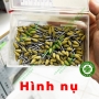 Mũi đánh bóng composite Thuỵ Sỹ