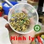 Hình ly