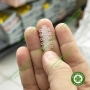 Màu trắng - Alastik Clear REF 406-870