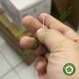 Dây cung duy trì mặt lưỡi dạng dẹp - Dây SS xoắn dài