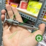 Ống chích thuốc tê inox Pakistan - Cái