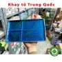 Khay đựng đồ khám nha khoa - khay tủ tia cực tím
