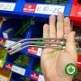 Ống hút phẫu thuật nha khoa Surgical Suction Tip Osung Hàn Quốc