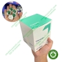 Sò đánh bóng cạo vôi hương bạc hà flairesse paste DMG Đức
