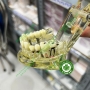 Mẫu hàm tư vấn các bệnh lý về răng miệng