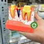 Mẫu hàm tư vấn so sánh răng cắm implant và cầu răng sứ