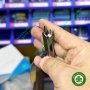 Kềm bẻ Torque 442 mỏ mỏng RECTANGULAR PLIER