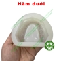 Mould đổ đế toàn hàm mẫu hàm răng lý tưởng 2 hàm trên và dưới