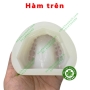 Mould đổ đế toàn hàm mẫu hàm răng lý tưởng 2 hàm trên và dưới