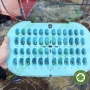 Mão răng sữa trẻ em màu sliver DENTAL KIDS CROW