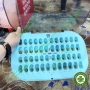 Mão răng sữa trẻ em màu vàng DENTAL KIDS GOLDEN CROW