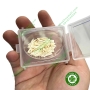 Chêm gỗ trám răng - Hộp 100 cái