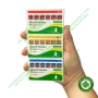 Cone nội nha sinh học Protaper Sure Endo Bio GP Points