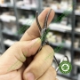 Pen cầm máu phẫu thuật - Kẹp cầm máu cong Singapore 13cm