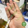 Dây cung chỉnh nha thẳng SS tròn và vuông Morelli