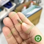 Trục lắp đĩa đánh bóng Composite Soflex loại thường