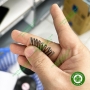 Trục lắp đĩa đánh bóng Composite Soflex loại thường