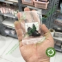 Xi măng gắn răng che màu cùi IPS IMPRESS DIRECT OPAQUE Ivoclar Vivadent