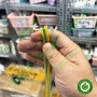 Phụ tùng ghế nha khoa - Dây tay khoan 4 lỗ