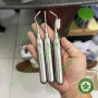 Bộ 3 cây nạy chóp nhổ răng Root Tip Pakistan