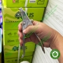 Súng bắn nhộng Fuij GC - CAPSULE APPLIER III
