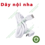 Dây nội nha thay thế - dây apex