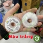 Ống nhựa luồn dây cung chỉnh nha Morelli