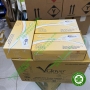 Găng tay cao su không bột Vglove phủ polymer 2 mặt - HỘP VÀNG - HÀNG CHÍNH HÃNG