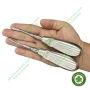 Nạy ưỡn răng cưa nhổ răng 8 - Bộ 2 cây