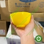 Chén trộn và bay trộn thạch cao, alginate lấy dấu
